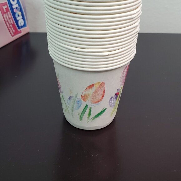 Dixie 3oz Bath Cups Rosy Watercolors 2011 Movie Prop Open Box Used (68 of 100) - Picture 2 of 7